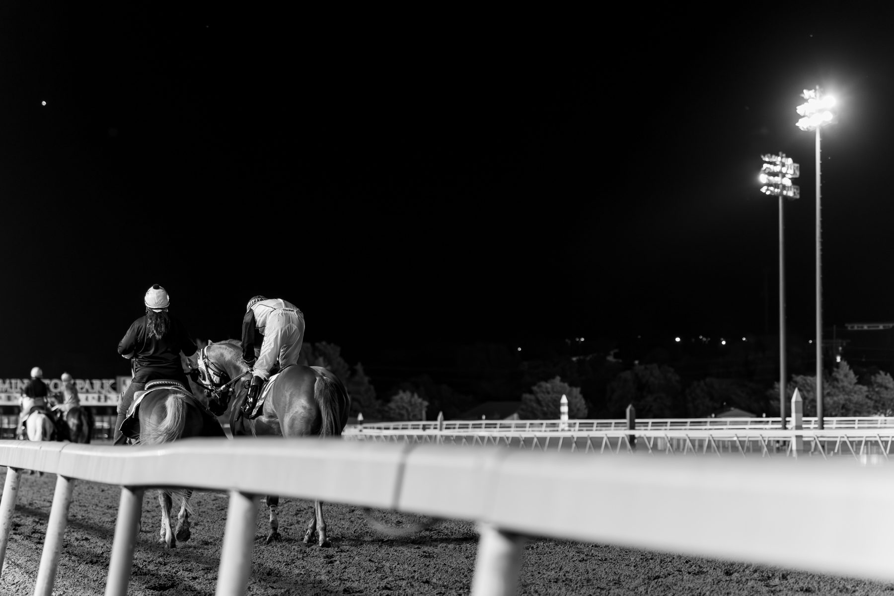 Horses at the rail facing the light towers, Remington Park